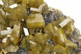 Golden Barite Crystals on Purple Fluorite - Xiefang Mine, China #350813-5